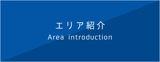 エリア紹介